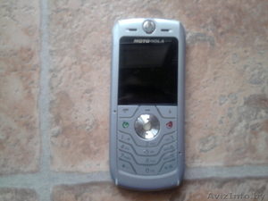 мобильный телефон motorola l6 #459104