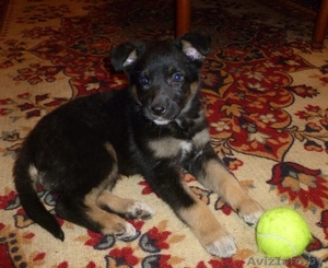 Кира… Кирочка… Кирюша! #462719