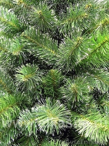 Сосна искусственная с белыми,  слегка припорошенными кончиками... #472719