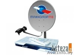 Триколор ! #459714