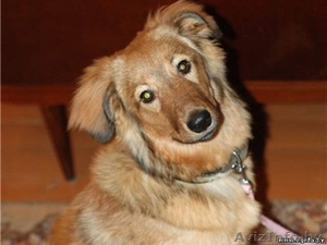 Красотка Сержи в заботливые ручки #519396