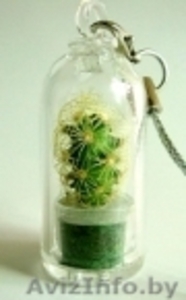 Брелоки с живыми растениями #509133