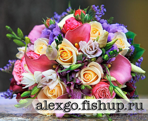 Фотограф на торжество  #421263