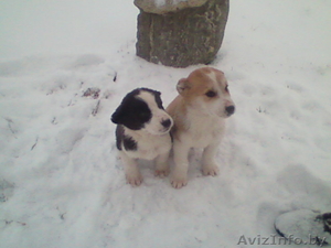 Глубокое.andreigicuk@mail.ru.80296557059 #496941