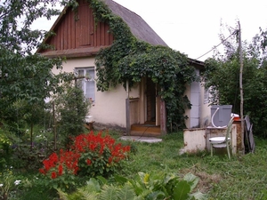 Подается дача в д. Теребень #501956