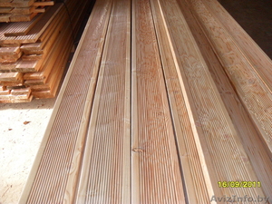 Лиственница сибирская #489470