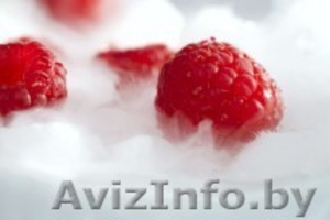 СУХОЙ ЛЕД (гранулированный)  #487498