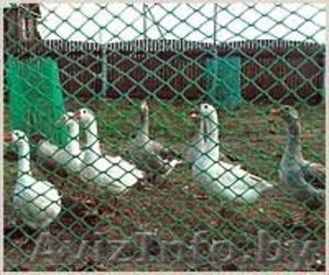 Пластиковые сетки и решетки для дома и сада #546008