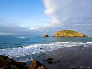 работа в рекламной коммерческой организации #529298