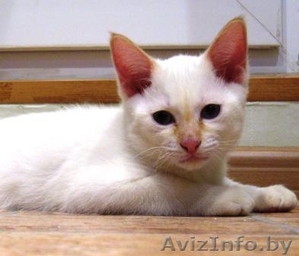 Подарите своим близким на 8 марта #553839