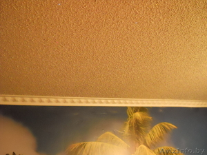 нанесение жидких акриловых обоев на потолки и стены.недорого.свой материал. #550331