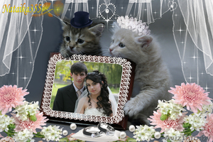 ВИДЕООПЕРАТОР.ВИДЕОСЪЁМКА #536809