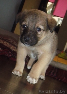 Самая лучшая девочка в дар! #596656