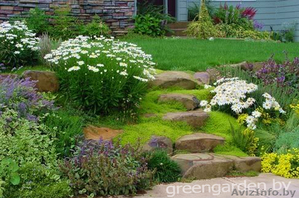 Ланшафтный дизайн #574127