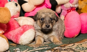 Налетай! Маленькие чуды! БЕСПЛАТНО! #567674