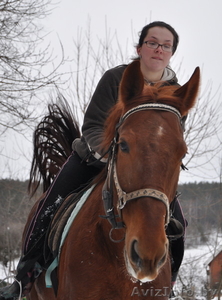 Прокат Лошадей. Минск. д.Копище #604580