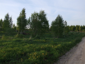 Участок в 17 км от МКАД #567841