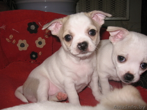 orlova_el72@mail.ru    #585885