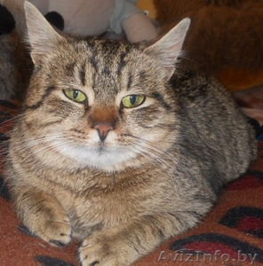 Лесная красавица в дар! #575852