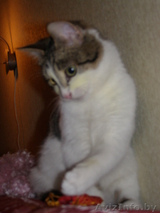 igubich@yandex.ru #601612