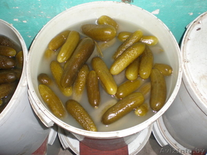 Продаю огурцы соленые #582418