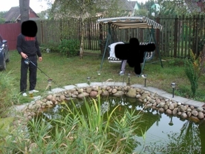 Химик 2 дача,  участок-9 сот. #641059