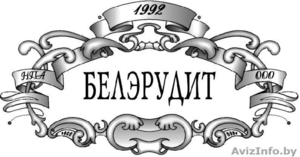 Компания БелЭрудит #613265