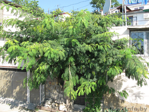 Квартира в 3 мин. от моря #632512