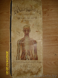 Альбом 1908г.Женщина. #641660