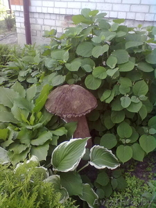 украсьте свой сад #669132