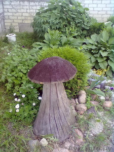 Декоративные грибы #669128