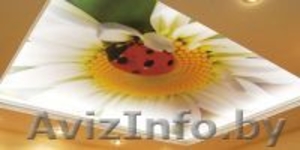 Натяжные потолки -  немецкий,  французский;  глянец,  матовый,  сатин #650089