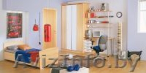 Изготовление,  сборка и установка мебели по индивидуальным дизайн проектам   #660498