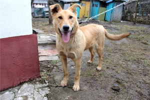 Дик - умный и воспитанный подросток #644585