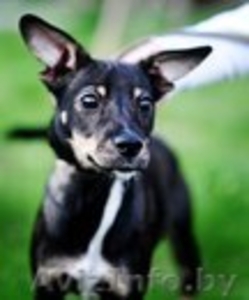 Подросток Макс ищет свою семью! #669893