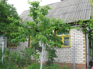 Дача в лесу,  20 км от МКАД,  Молодечн. направление #664881