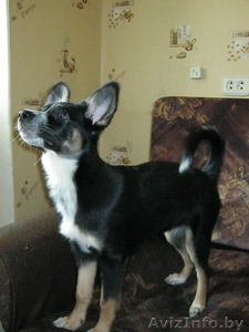 Очаровательная девочка в дар #650977