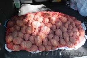 Продам картофель. #649159