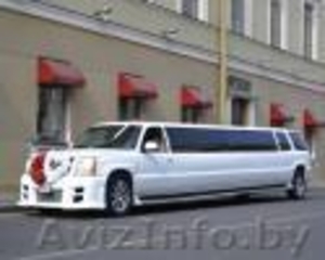 прокат и аренда авто и лимузинов Avtolimo.by #646299