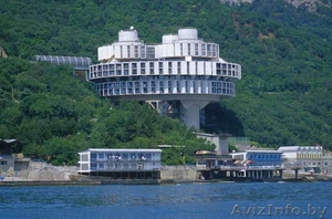 Отдых для организованных групп в Ялте! #651580