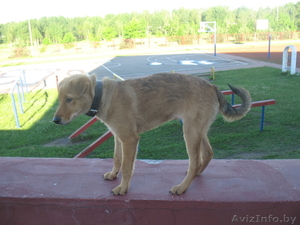 Майя ищет новый дом #698272