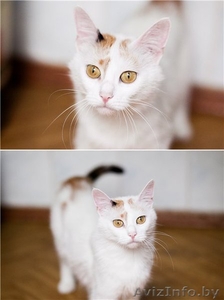 милашка Стелла в дар #688141