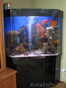 Угловой аквариум #676075