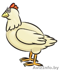 Закупаем мясо птицы #697295