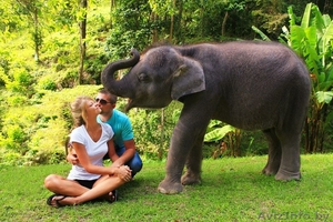 ХОТИТЕ ОТДЫХАТЬ И НИ О ЧЕМ НЕ ДУМАТЬ?! #700789