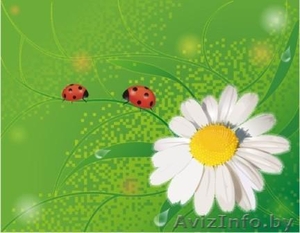 Беловежская пуща   -  квартира  посуточно . Wi-Fi #685396