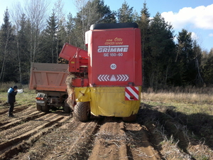 СЕЛЬХОЗ. УСЛУГИ ПО УБОРКЕ КАРТОФЕЛЯ #284128