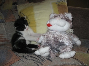 Малыш Гуф-ваш верный товарищ=) #706812