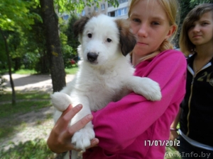 Очаровательные девчЁнки В ДАР!!! #719405