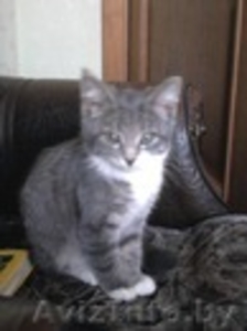 МАЛЕНЬКИЙ И СМЕШНОЙ #705093